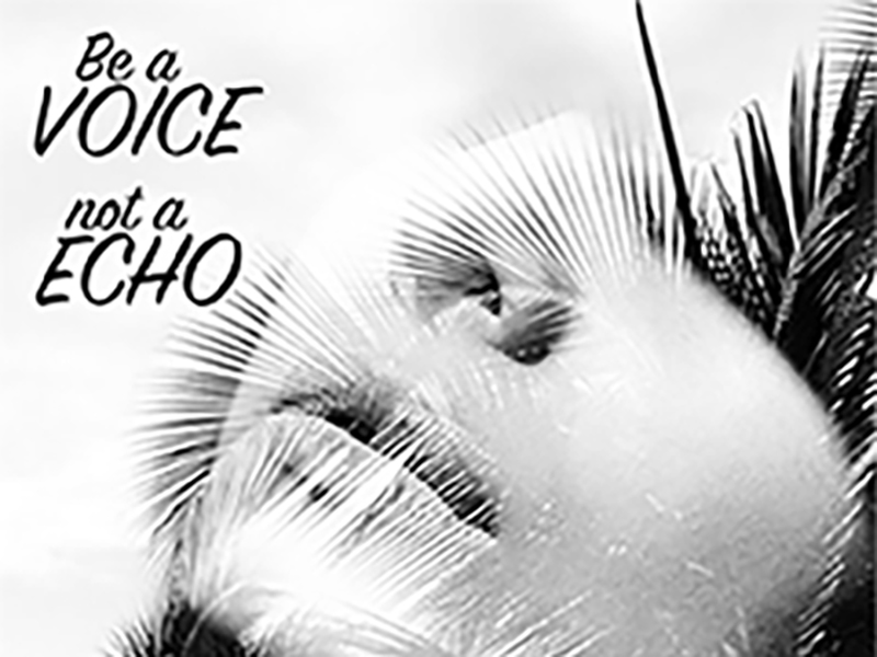 Ba a Voice not a Echo